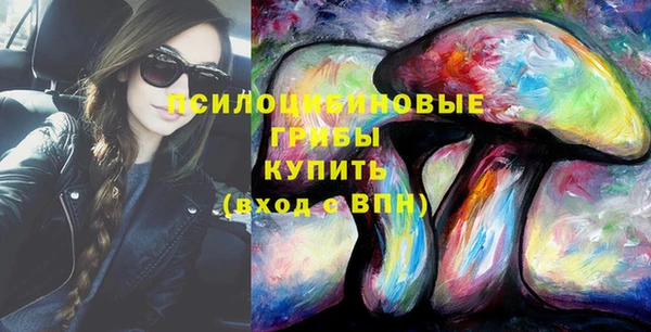 гидропоника Краснослободск